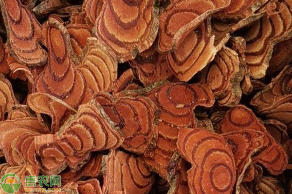 種植業(yè)免稅政策_種植業(yè)_種植業(yè)有哪些種類