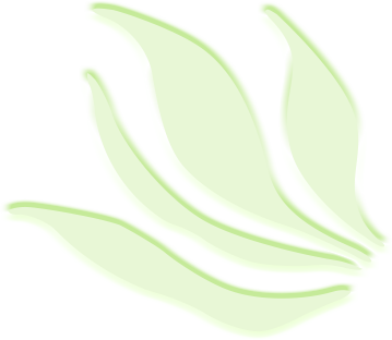 冬天養(yǎng)什么綠植比較容易存活_冬天能養(yǎng)活的植物_冬天能養(yǎng)的綠植