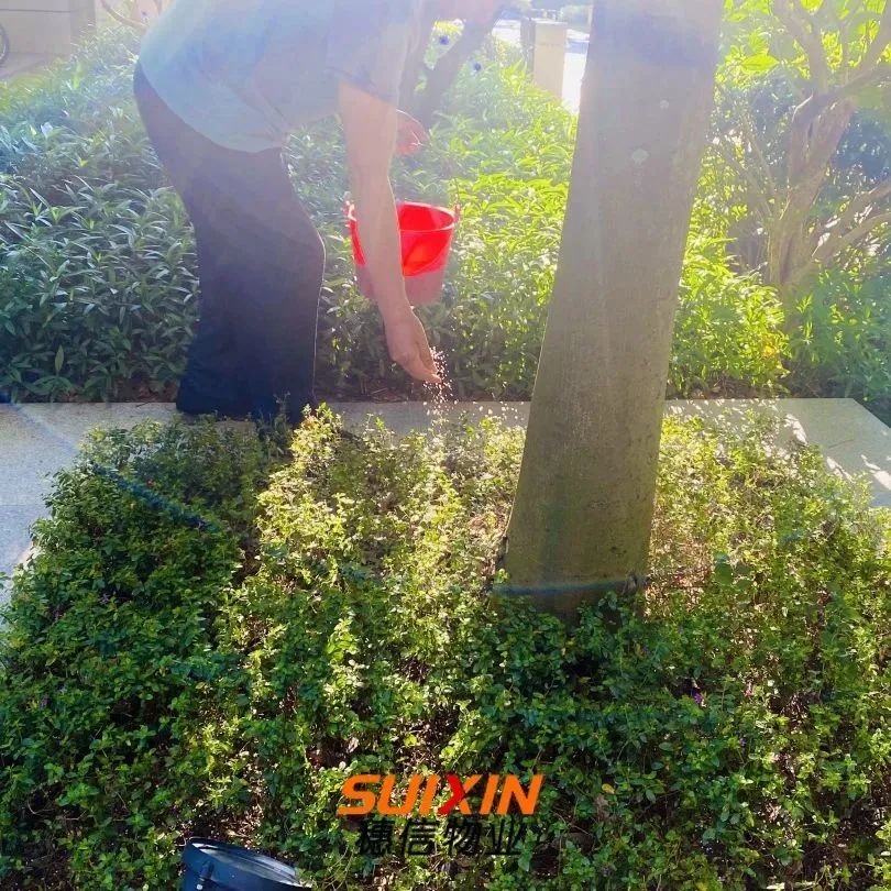 冬天養(yǎng)什么綠植比較容易存活_冬天能養(yǎng)活的植物_冬天能養(yǎng)的綠植