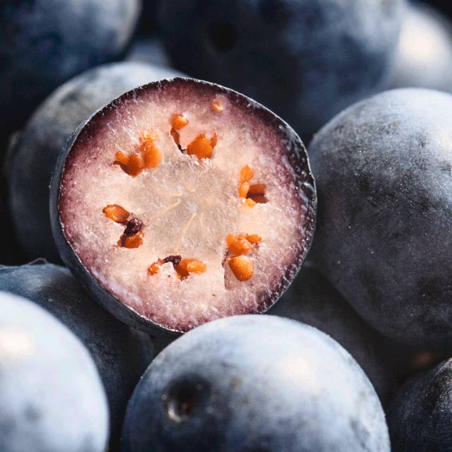 藍莓農(nóng)藥多嗎_藍莓的農(nóng)藥殘留多嗎_藍莓農(nóng)藥打的多嗎