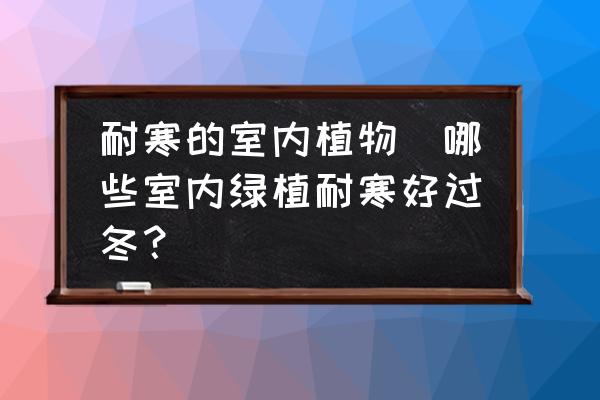 可以過冬的室內綠植有哪些_室內過冬綠植有可以澆水的嗎_能過冬的室內綠植
