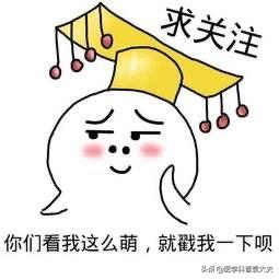 金桔殺蟲劑_金桔有農(nóng)藥嗎_金桔打藥多嗎