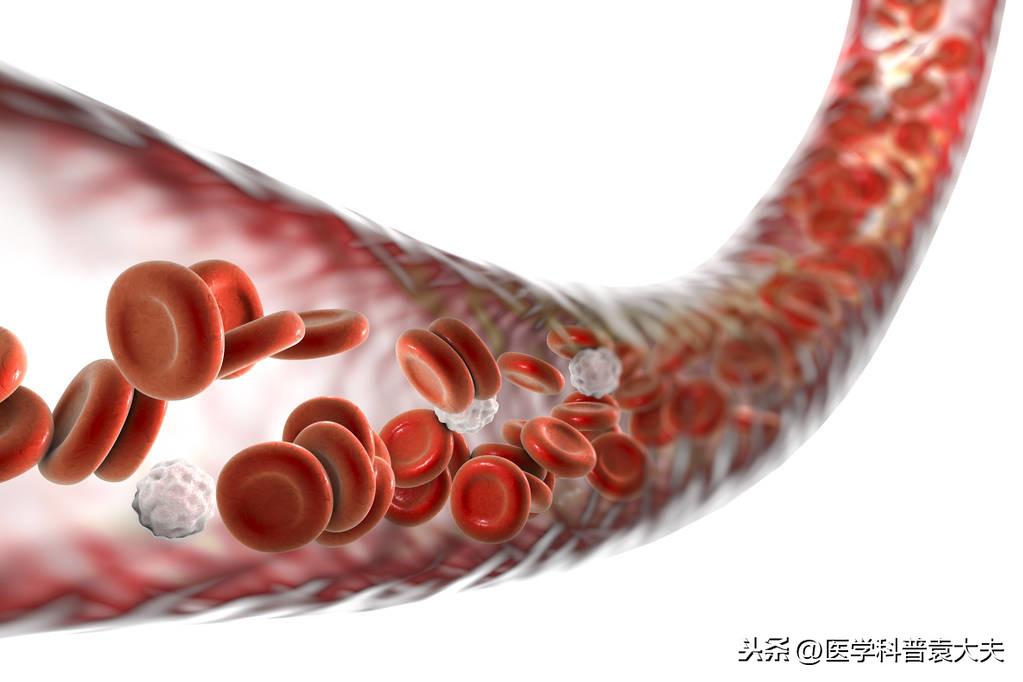 金桔殺蟲劑_金桔打藥多嗎_金桔有農(nóng)藥嗎