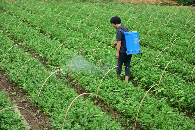 堿性的農(nóng)藥有哪些_農(nóng)藥呈堿性是什么意思_哪些農(nóng)藥屬于堿性農(nóng)藥