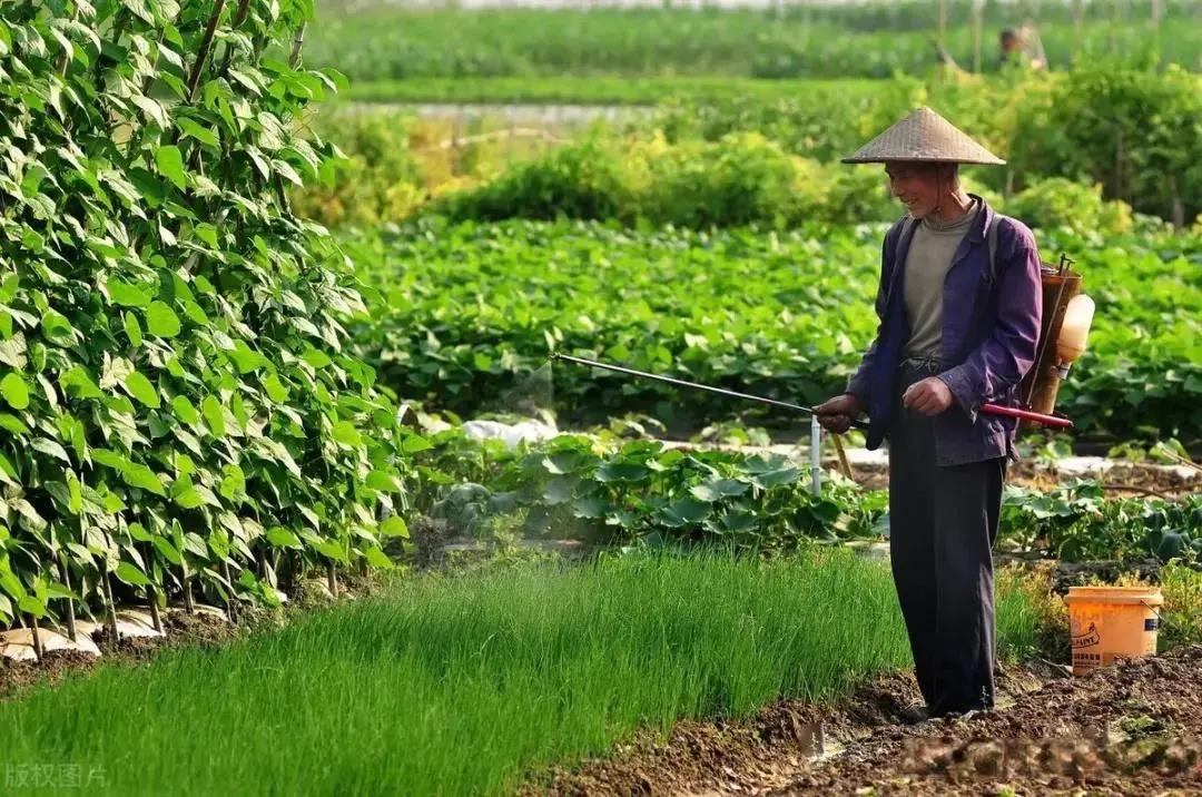 農(nóng)藥殺蟲有因果報(bào)應(yīng)嗎_殺蟲農(nóng)藥有哪些_農(nóng)藥殺蟲有哪些藥