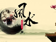 “在風(fēng)水學(xué)上，綠植到底怎么擺放？”